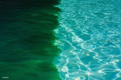 Illustration clarify - Image 1