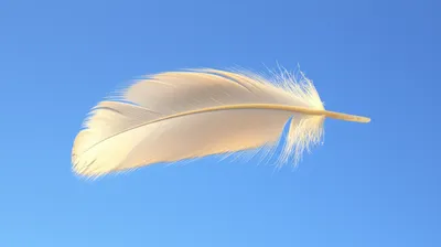 Illustration lite - Image 1