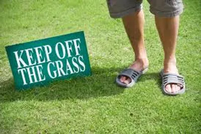 Illustration transgression - Image 2