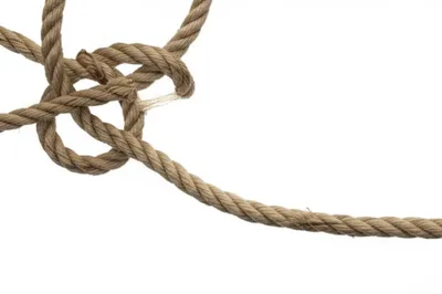 Illustration simplified - Image 1