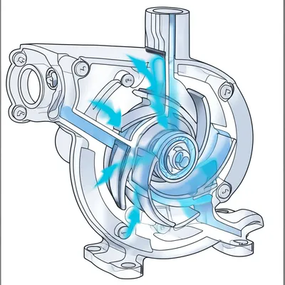 Illustration impeller