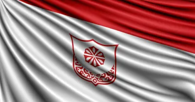 Illustration flag - Image 1