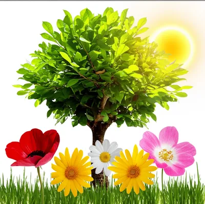 Illustration descendent - Image 1