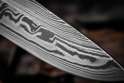 Illustration damask - Image 1