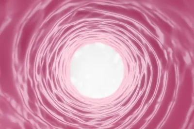 Illustration dilates - Image 1