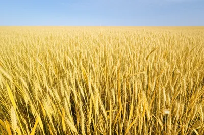 Illustration multiply - Image 1