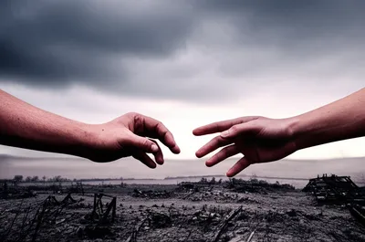 Illustration truce - Image 1