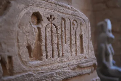 Illustration cartouches - Image 2