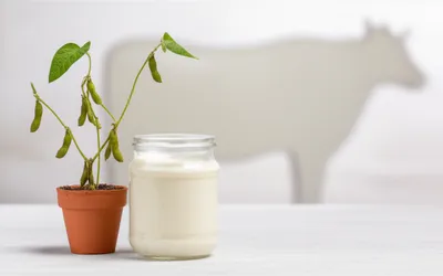 Illustration yoghurt - Image 1