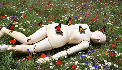 Illustration insensate