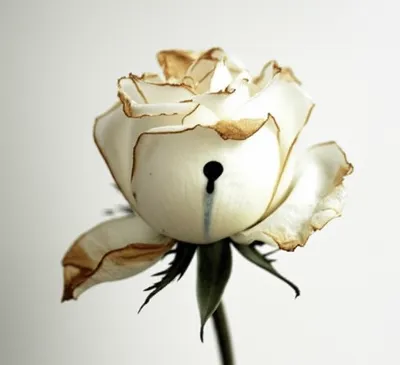 Illustration pervert - Image 1