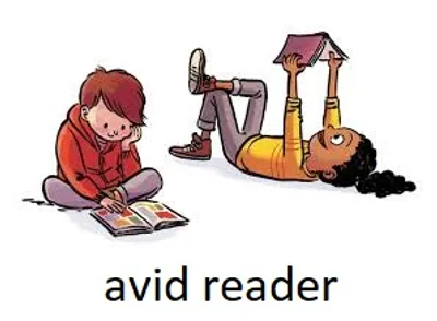 Illustration avid - Image 2