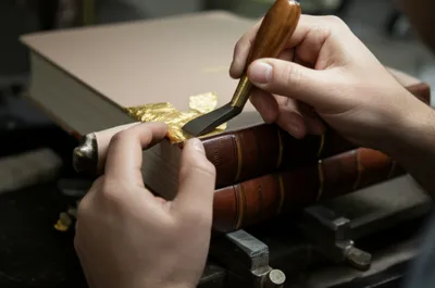 Illustration pallets - Image 1