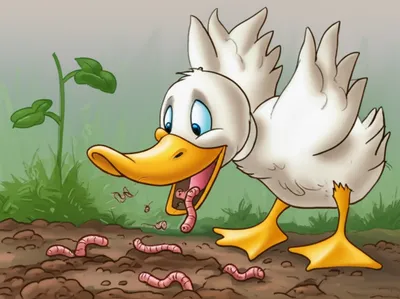 Illustration billed - Image 1