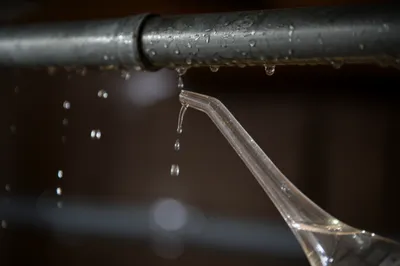 Illustration distil - Image 1