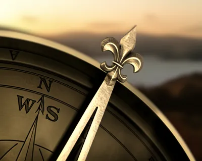 Illustration lily - Image 1