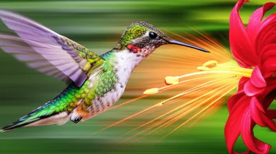 Illustration quick - Image 1