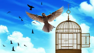 Illustration unblock - Image 1