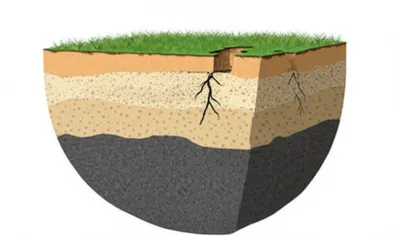 Illustration outcrop - Image 1