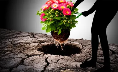 Illustration stealing - Image 1