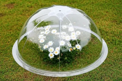 Illustration coverage - Image 1