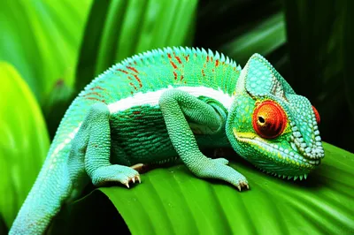 Illustration unobtrusive