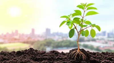 Illustration establishing - Image 1