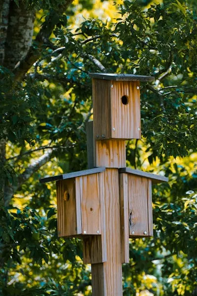 Illustration birdhouses - Image 2