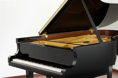 Illustration grand - Image 1