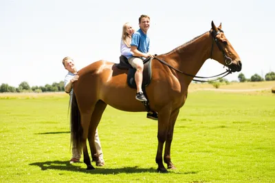 Illustration aboard - Image 1