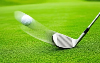 Illustration mows - Image 1