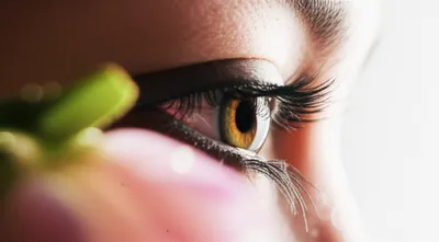 Illustration awakening - Image 1