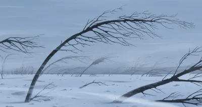 Illustration northerly