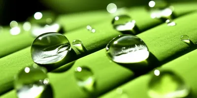 Illustration sparkling - Image 1