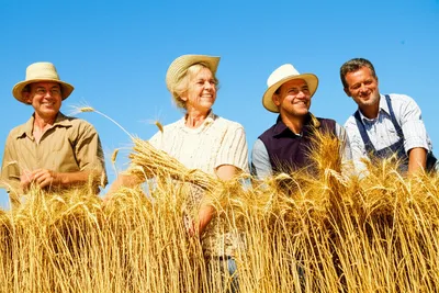 Illustration gathered - Image 1