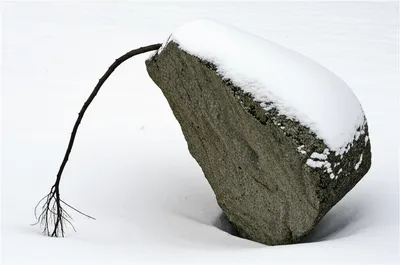 Illustration weakest - Image 1