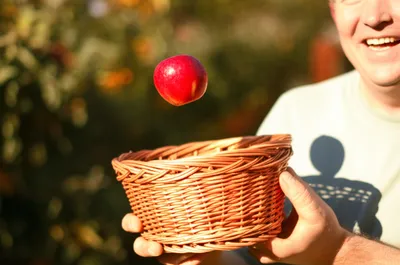 Illustration timely - Image 1