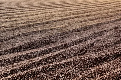 Illustration barbecues - Image 1