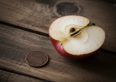 Illustration ob - Image 1