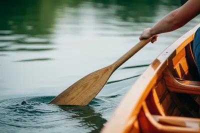 Illustration paddle - Image 1