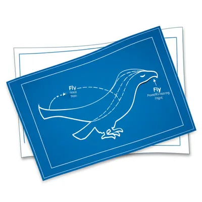 Hình ảnh minh họa override - Ảnh 1