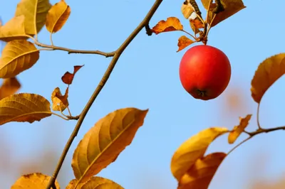 Illustration hangs - Image 1