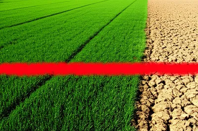 Illustration terminates - Image 1