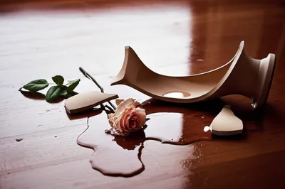 Illustration did - Image 1