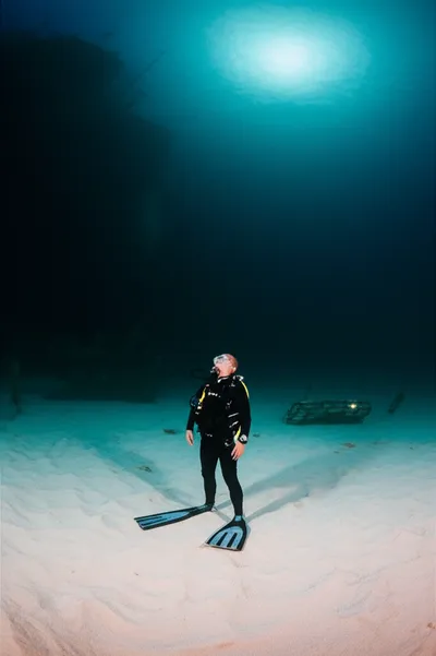 Illustration bottomed - Image 2