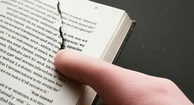 Hình ảnh minh họa rip - Ảnh 1