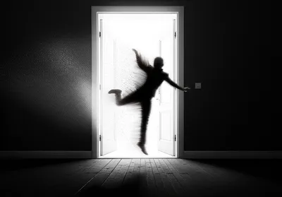 Illustration outer - Image 1