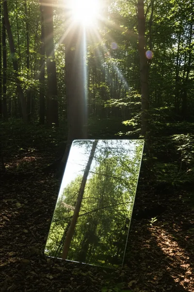 Illustration reflexive