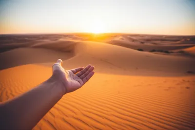 Illustration hey - Image 1