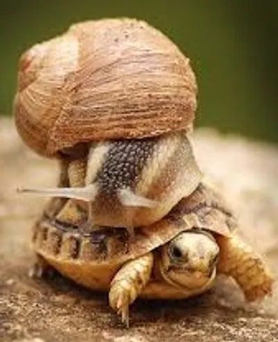 Illustration ponderous - Image 2